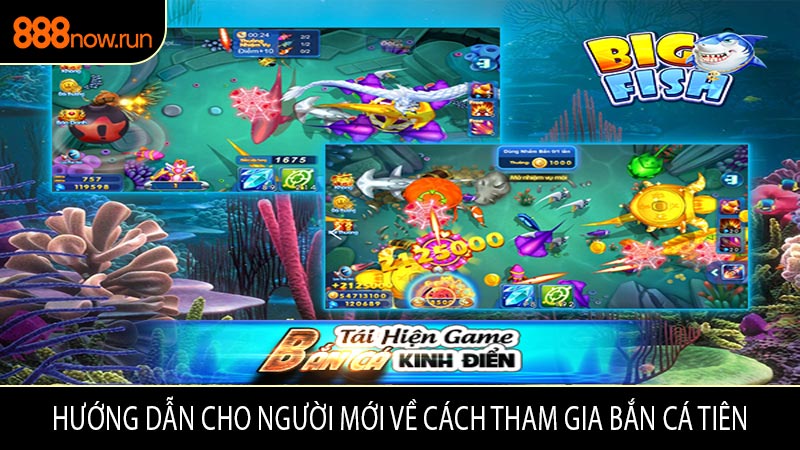 Hướng Dẫn Cho Người Mới Về Cách Tham Gia Bắn Cá Tiên